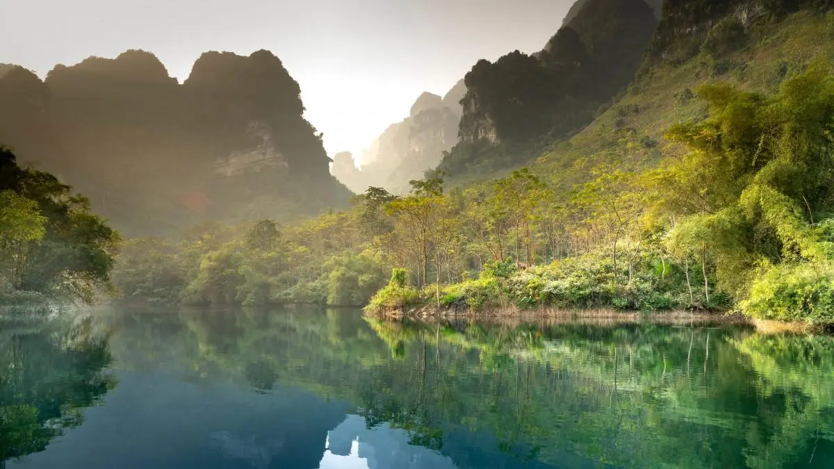 高效可靠性稳定性